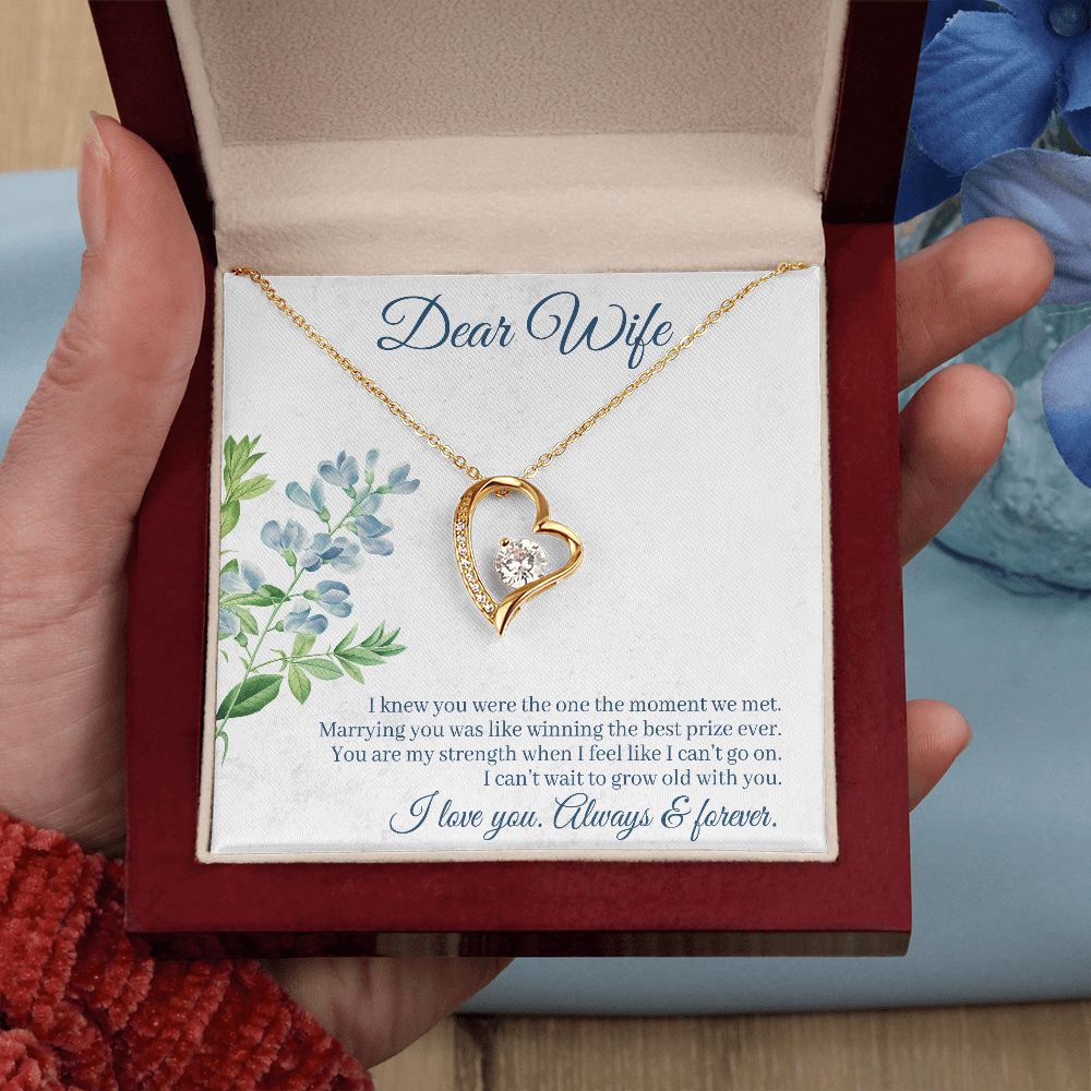 To My Wife