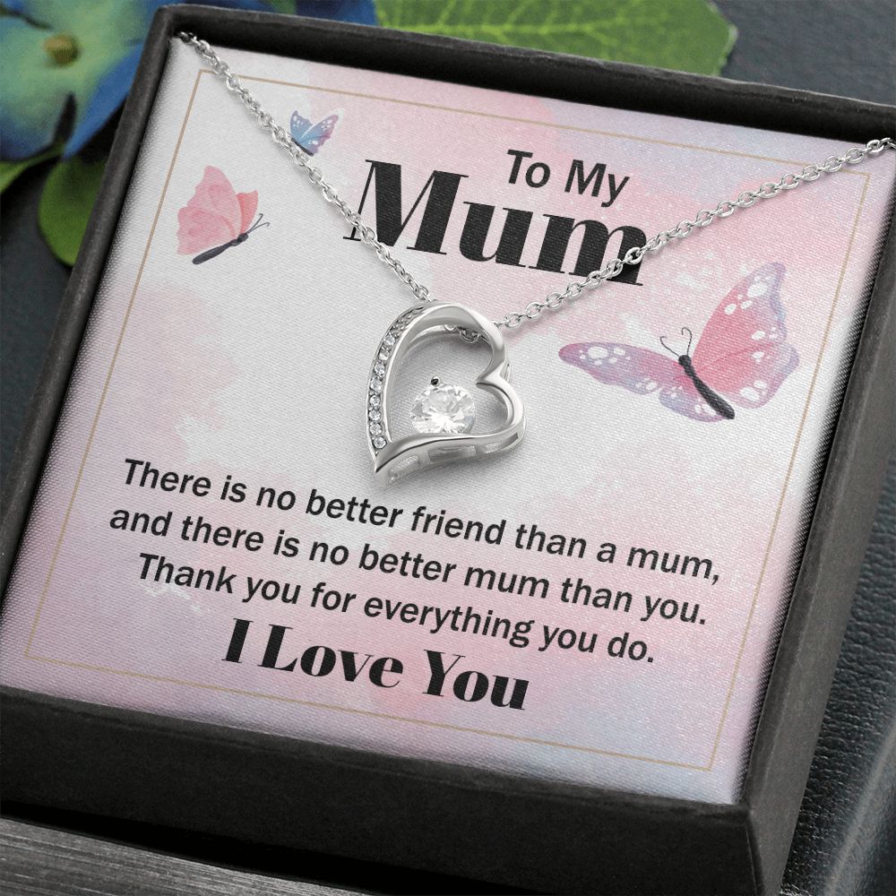 To My Mum - there is no better friend than a mum