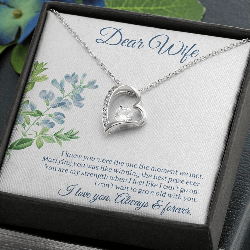 To My Wife