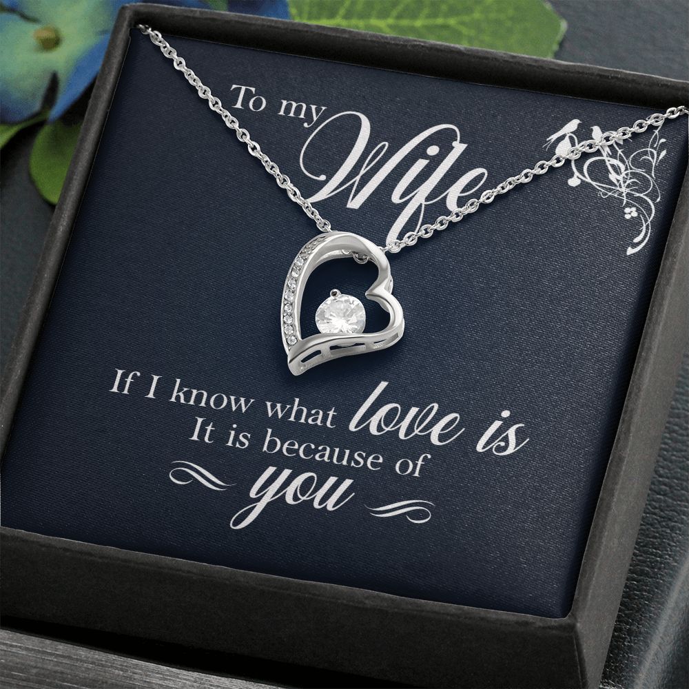 To My Wife