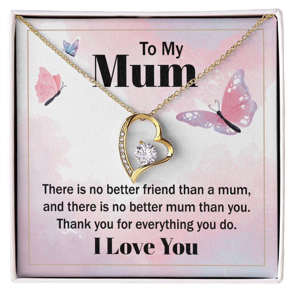 To My Mum - there is no better friend than a mum
