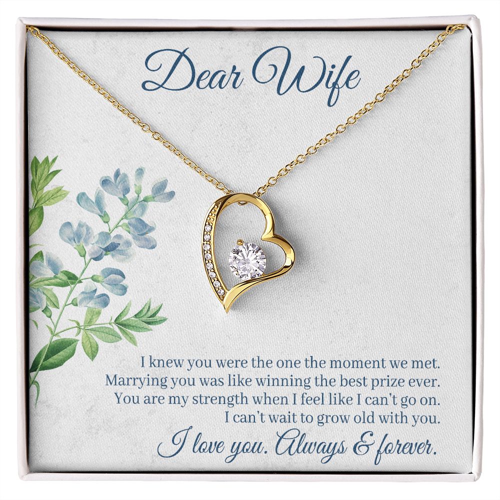 To My Wife