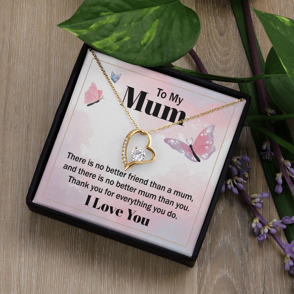To My Mum - there is no better friend than a mum