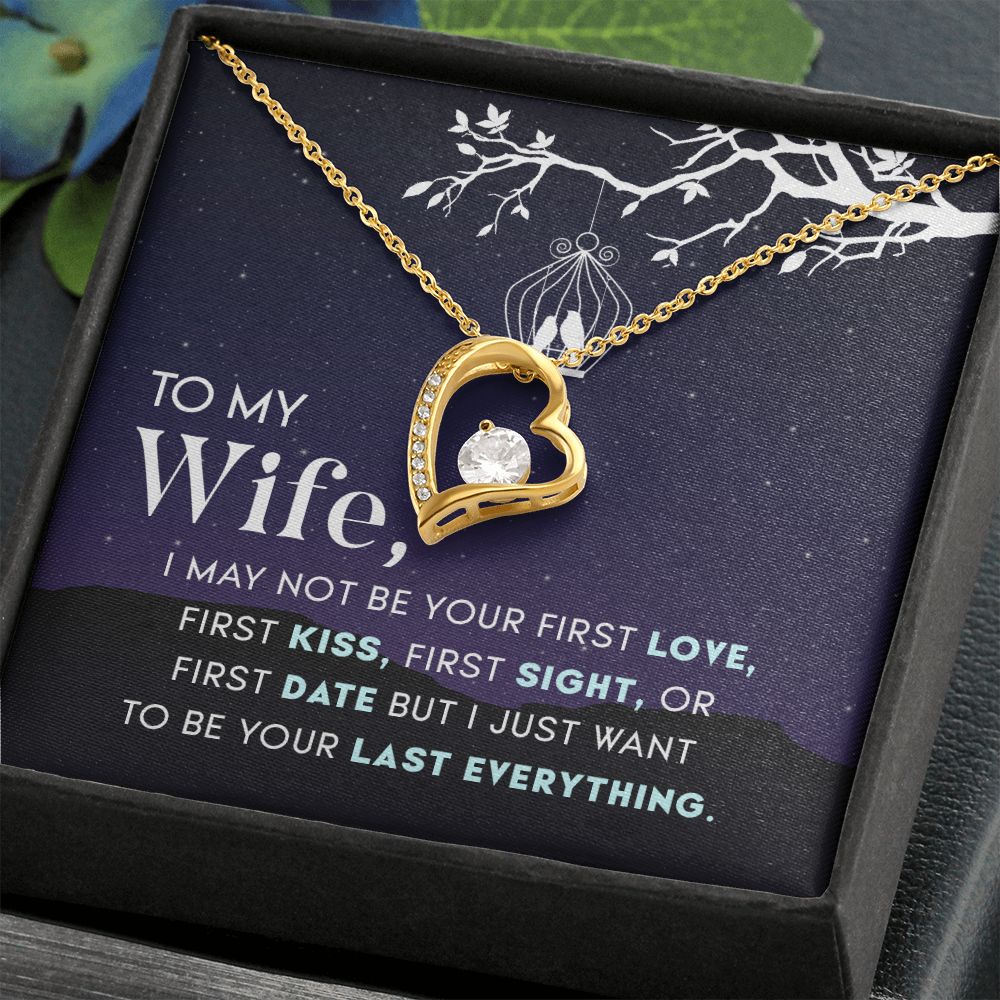 To My Wife- I may not be your first love